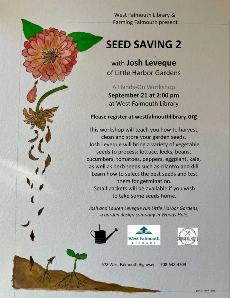 Seed-Saving-2