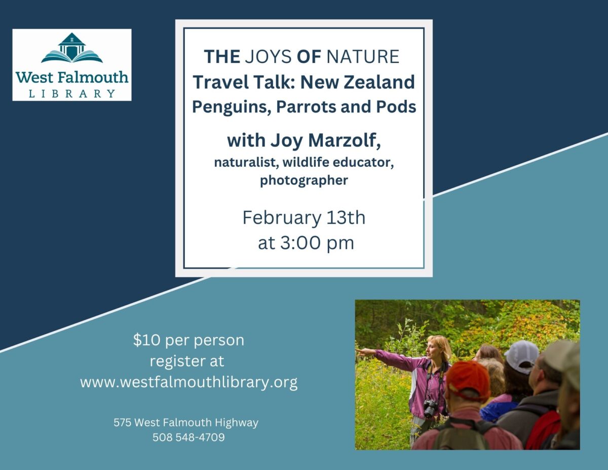 flyer for Feb 13 2025 The Joys of Nature event at West Falmouth Library