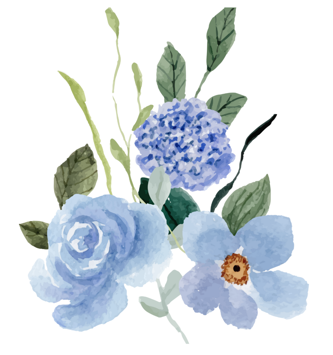 an illustration of three blue flowers, including hydrangea