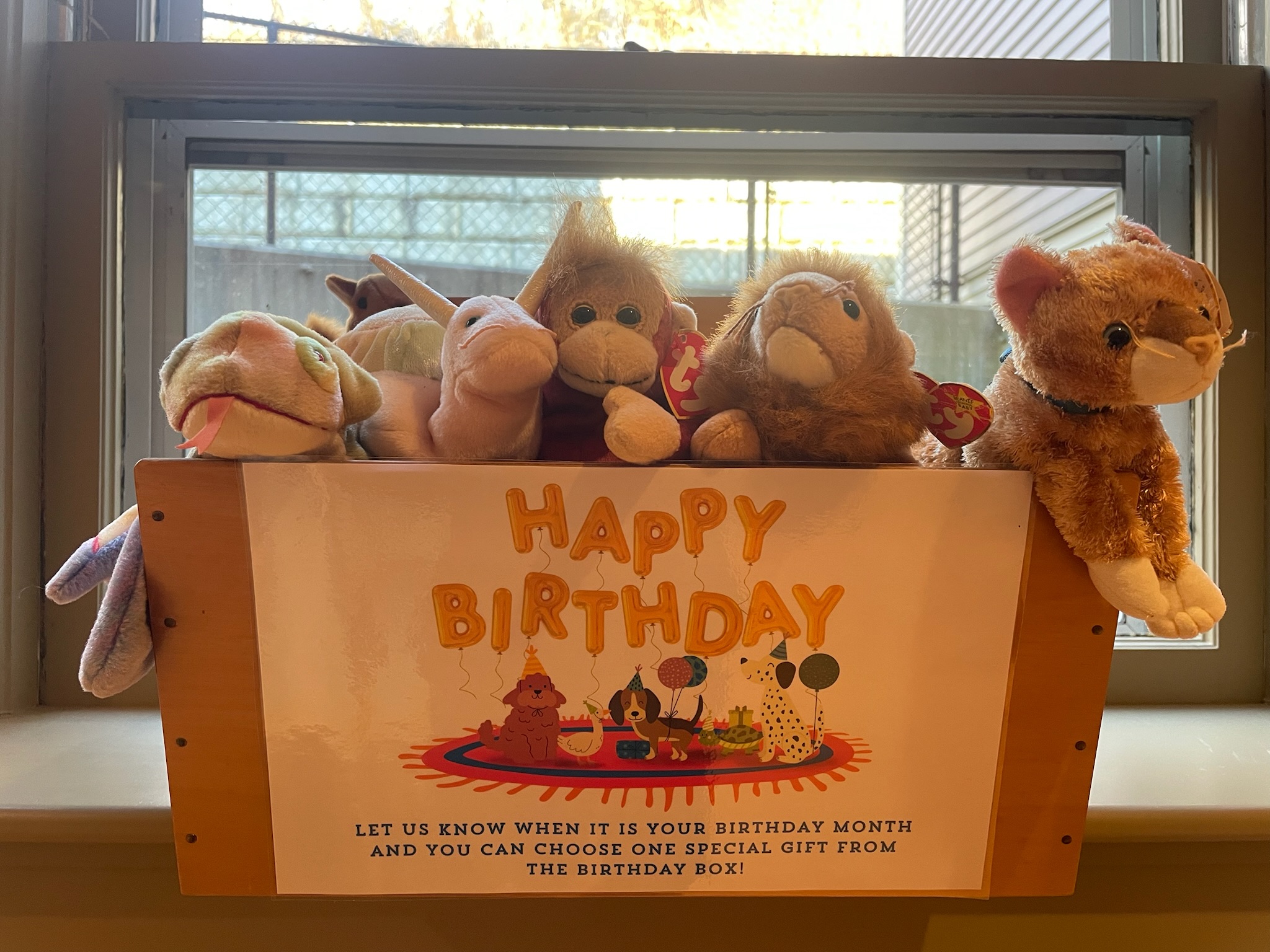 A box full of plush animal toys for the Birthday Bin at West Falmouth Library