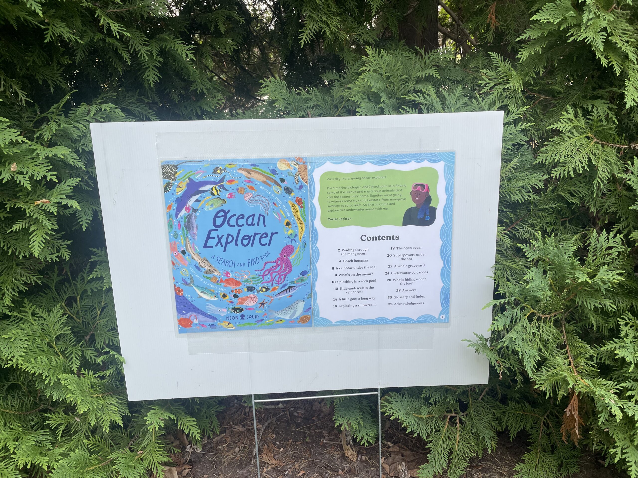 storywalk for august 2026 at west Falmouth Library Ocean Explorer bby Carlee Jackson