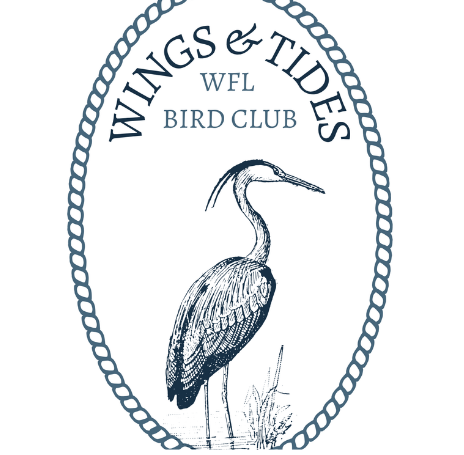 logo for the Wings & Tides Bird Club at West Falmouth Library