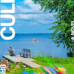 book cover for Culpability by Bruce Holsinger