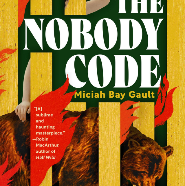 Book cover for The Nobody Code by Miciah Bay Gault