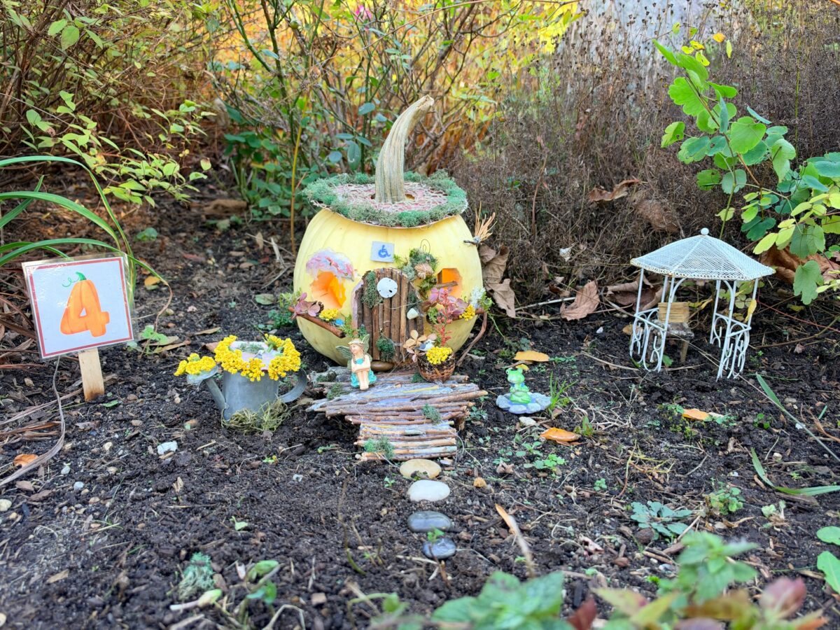 A whimsically carved pumpkin featured in the Harvest Fairy installation at the gardens of West Falmouth Library October 2026