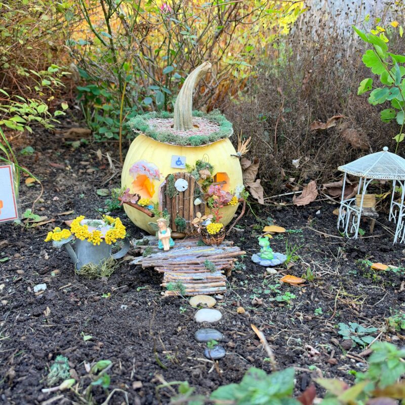 A whimsically carved pumpkin featured in the Harvest Fairy installation at the gardens of West Falmouth Library October 2026