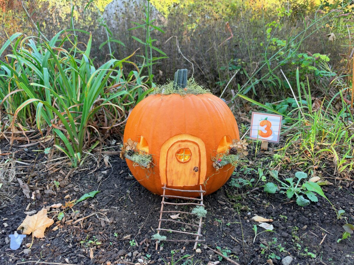 A whimsically carved pumpkin featured in the Harvest Fairy installation at the gardens of West Falmouth Library October 2026