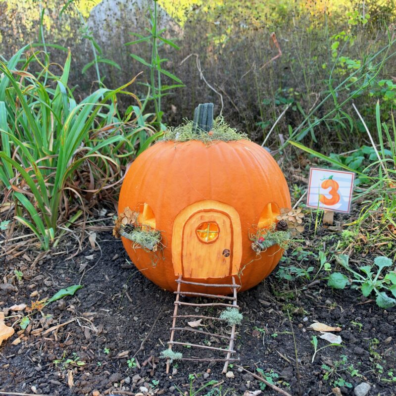 A whimsically carved pumpkin featured in the Harvest Fairy installation at the gardens of West Falmouth Library October 2026