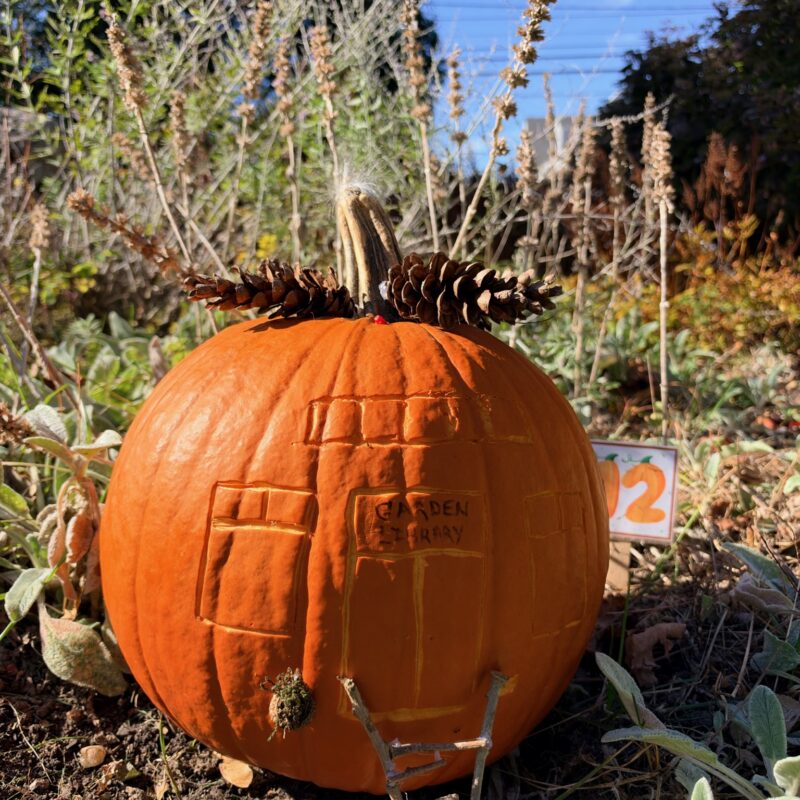 A whimsically carved pumpkin featured in the Harvest Fairy installation at the gardens of West Falmouth Library October 2026