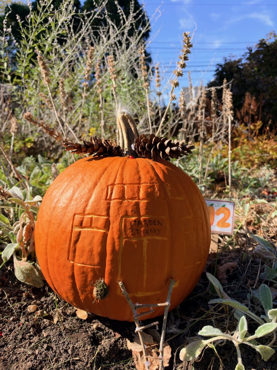 A whimsically carved pumpkin featured in the Harvest Fairy installation at the gardens of West Falmouth Library October 2026