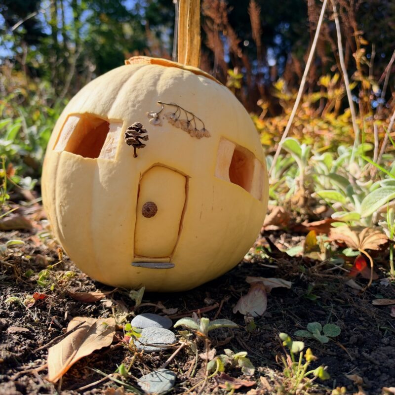 A whimsically carved pumpkin featured in the Harvest Fairy installation at the gardens of West Falmouth Library October 2026