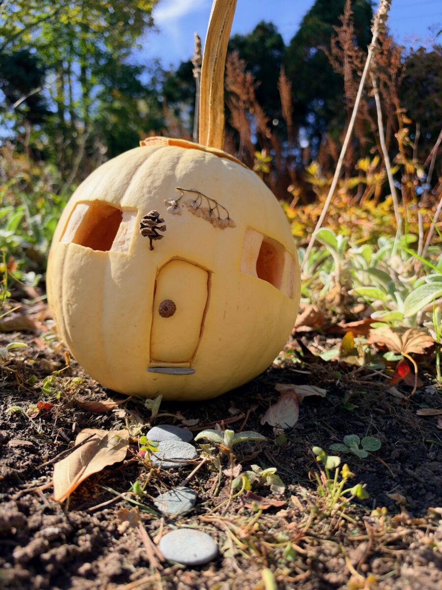A whimsically carved pumpkin featured in the Harvest Fairy installation at the gardens of West Falmouth Library October 2026