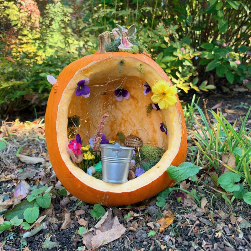 A whimsically carved pumpkin featured in the Harvest Fairy installation at the gardens of West Falmouth Library October 2026