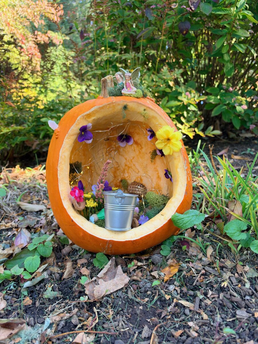 A whimsically carved pumpkin featured in the Harvest Fairy installation at the gardens of West Falmouth Library October 2026