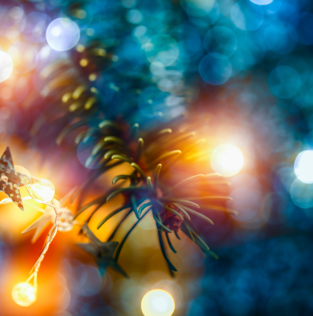 close up color photo of christmas tree